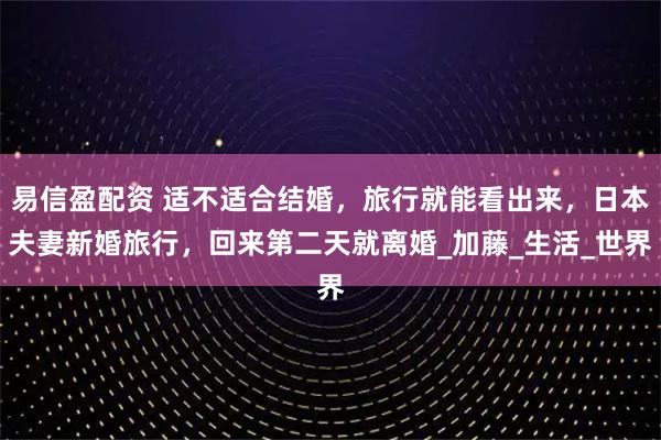 易信盈配资 适不适合结婚，旅行就能看出来，日本夫妻新婚旅行，回来第二天就离婚_加藤_生活_世界